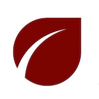 Blue Stream Trading Logo