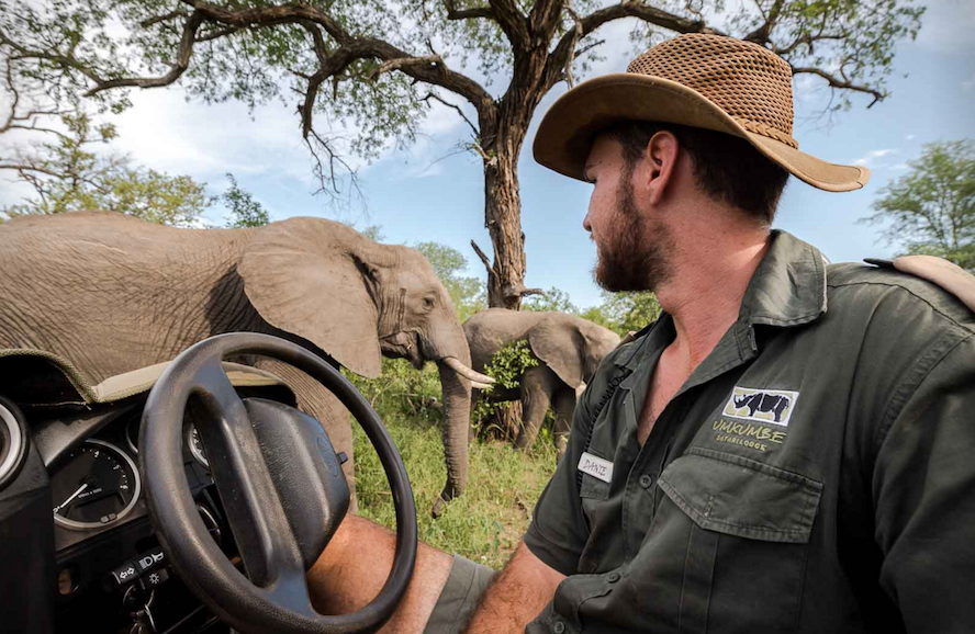Umkumbe Lodge Safari