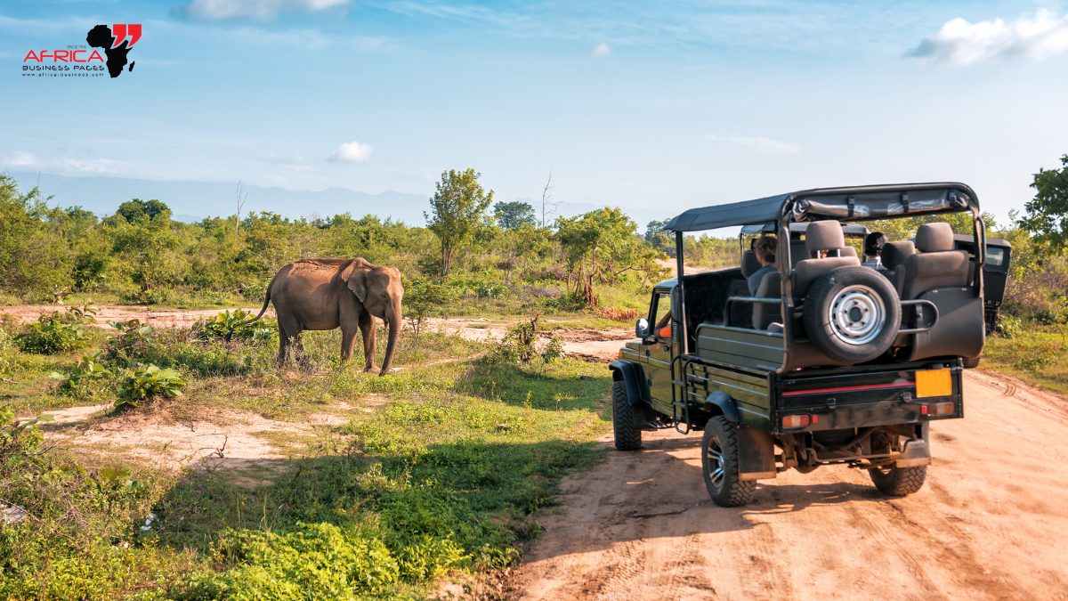 Rwanda Tourism: Strategic Partnerships Elevate Africa's Green Heart